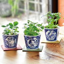 Sometsuke Souka Deer - Chrysanthemum