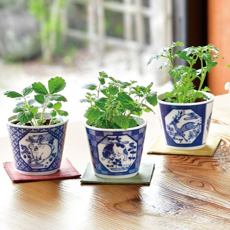 Sometsuke Souka Deer - Chrysanthemum