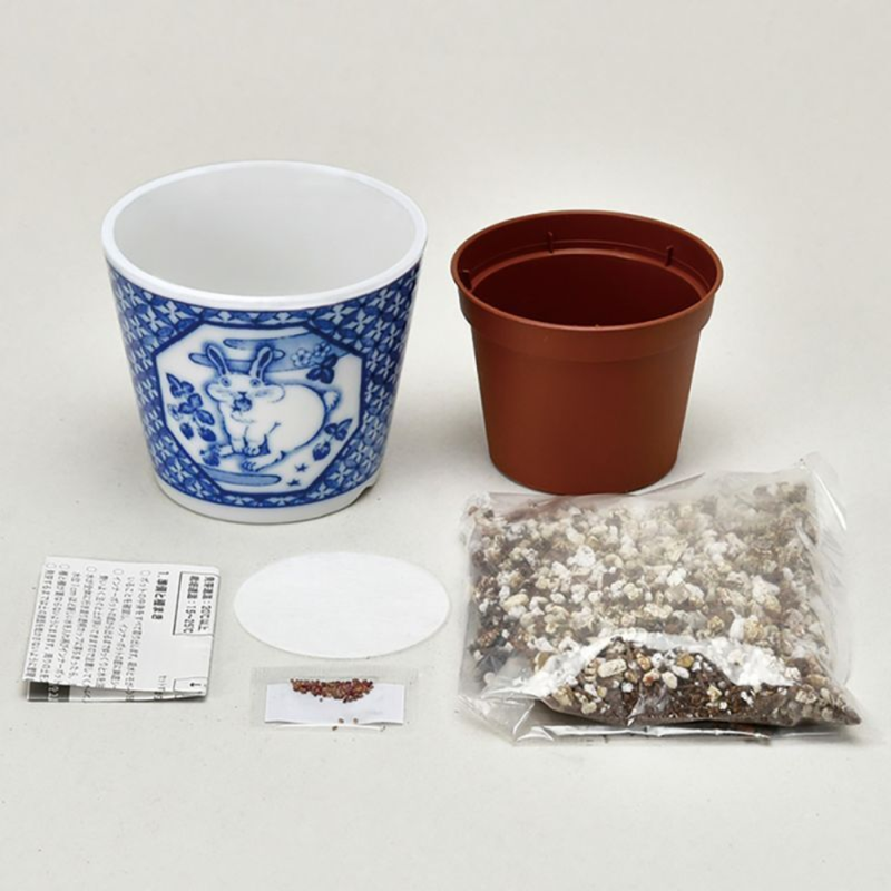 Sometsuke Souka Deer - Chrysanthemum