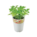 Wagokoro Yakumi - Mitsuba