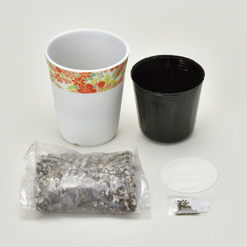 Wagokoro Yakumi - Shiso