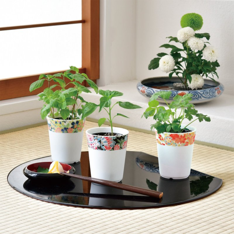 Wagokoro Yakumi - Chilli Pepper