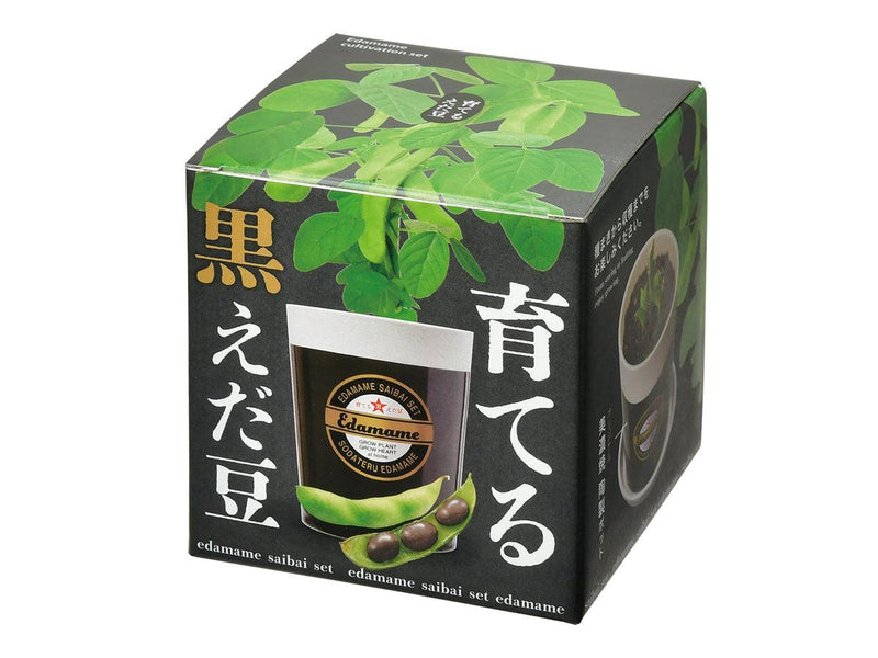 Black Edamame Growing Kit