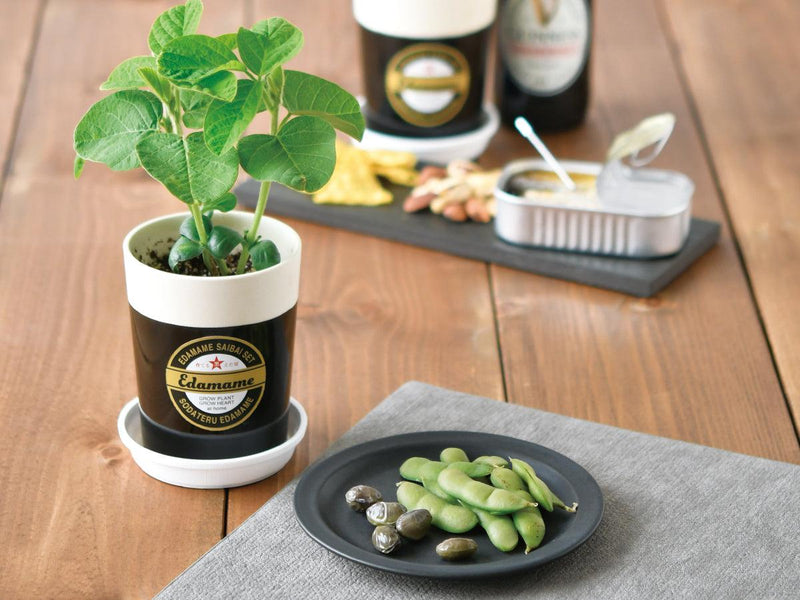 Black Edamame Growing Kit