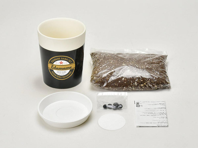 Black Edamame Growing Kit