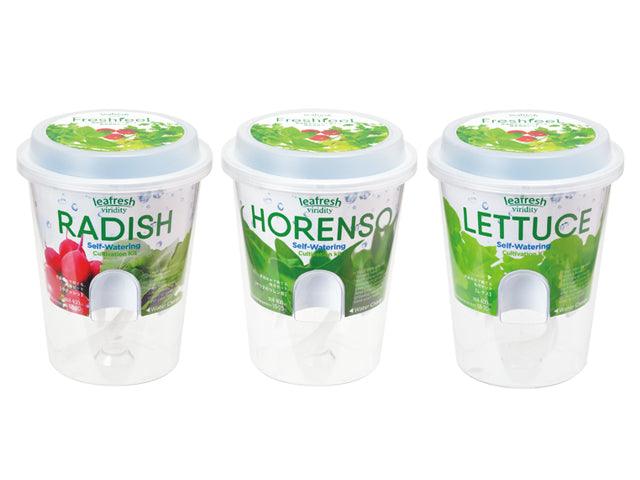 Self Watering Cultivation Kit - Salad Spinach