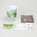 Self Watering Cultivation Kit - Salad Spinach