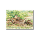 Singapore Postcard - Otters At Rest
