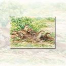 Singapore Postcard - Otters At Rest