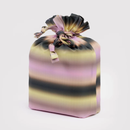 Standard Baggu Set of 3 - Gradient Stripes