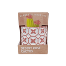 Succulent Collection: Cactus