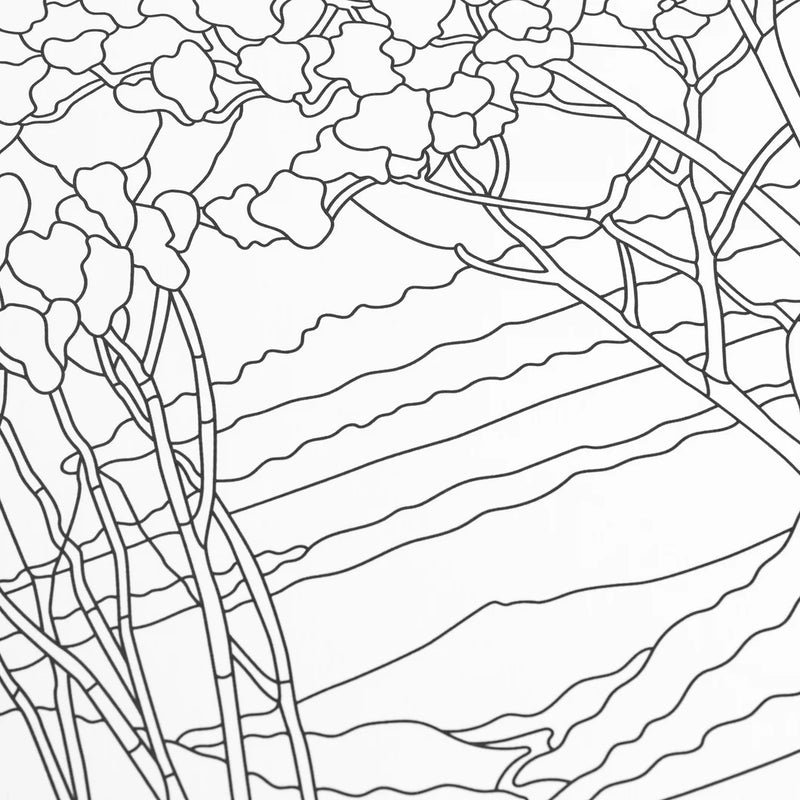 Colouring Book - Louise Comfort