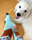 Chatterbox Socks - How To Train Your Human