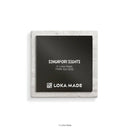 Mosaic Magnet Tiles - Singapore Sights