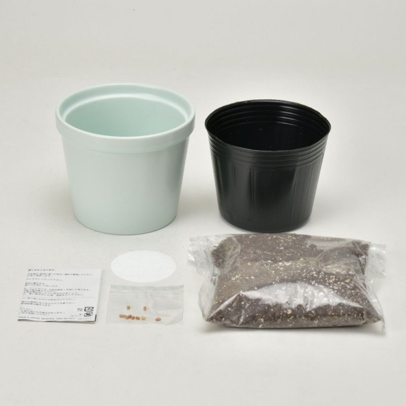 Thanks Garden Growing Kit - Wild Strawberry