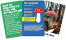 The Wonderful World of Mushrooms Cards