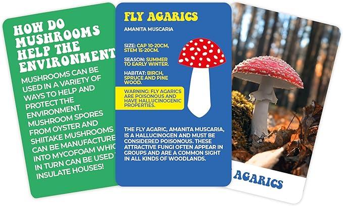 The Wonderful World of Mushrooms Cards