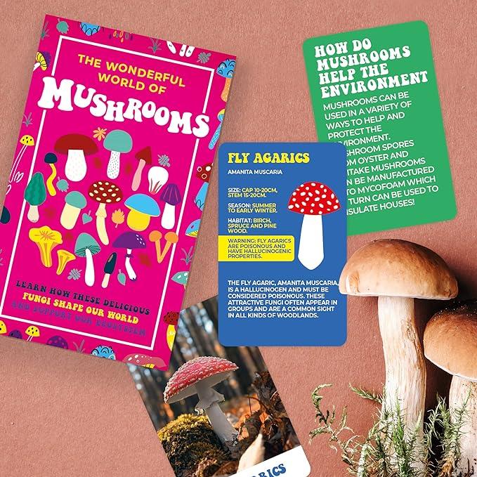 The Wonderful World of Mushrooms Cards