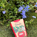 Pastel Coloured Pots With Chalk: Tomato