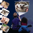 Torch & Projector: Cute & Cuddly