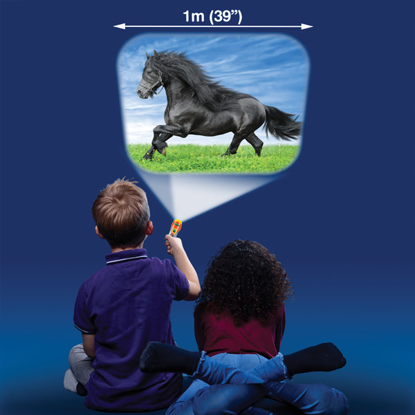 Torch & Projector: Horse