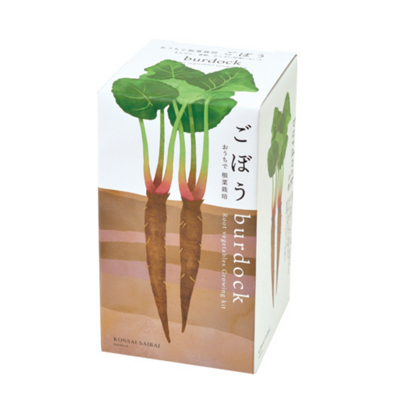 Root Vegetable Growing Kit - Burdock