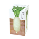 Root Vegetable Growing Kit - Radish