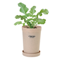 Root Vegetable Growing Kit - Radish