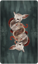 Wisdom of the Wild Things Oracle