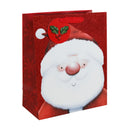 Glitter Gift Bag - Xmas Santa