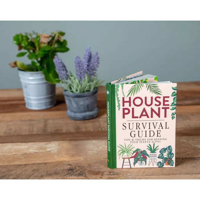 Houseplant Survival Guide