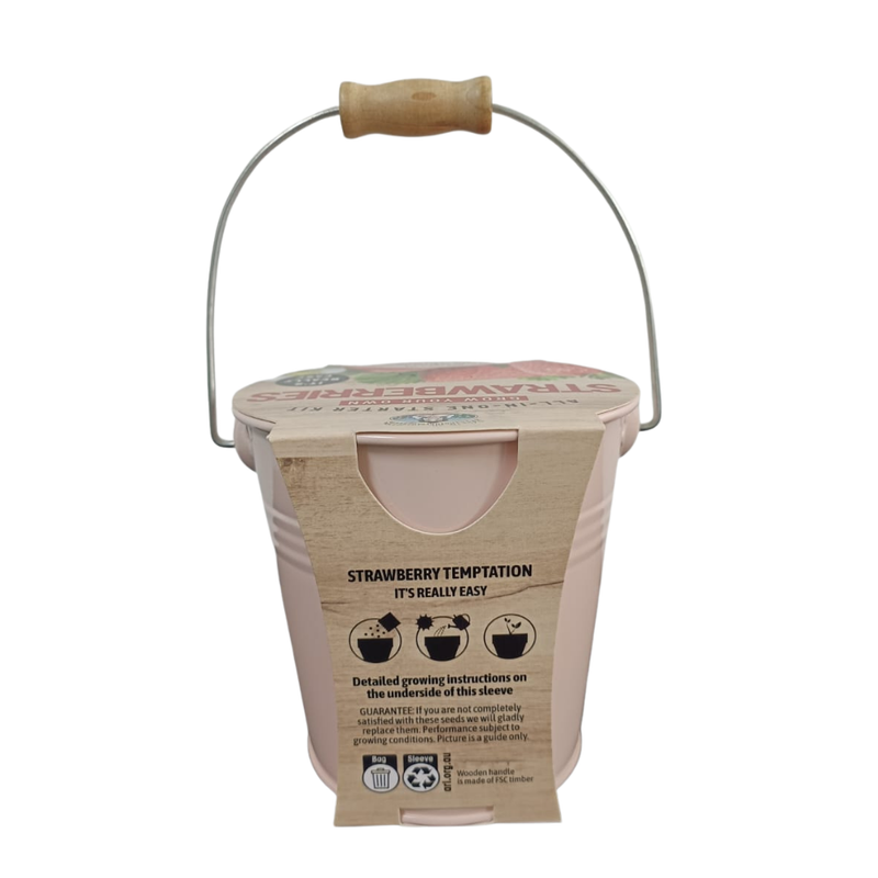 Zinc Pot Wooden Handle - Strawberries