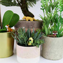 Mini Plant Pot Markers: Adorable Dogs