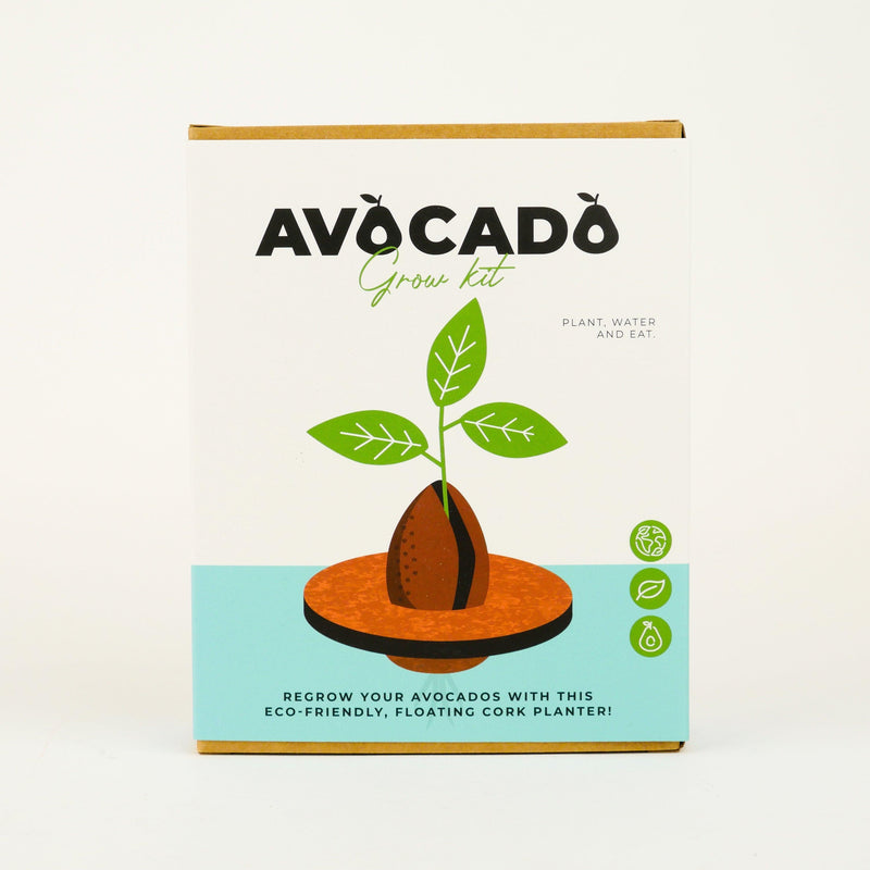 Avocado Grow Kit