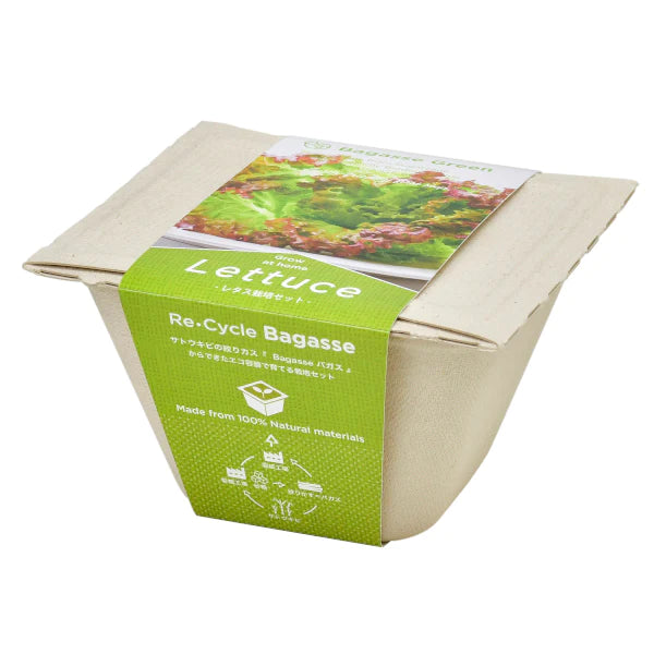 Bagasse Green - Lettuce - SpectrumStore SG