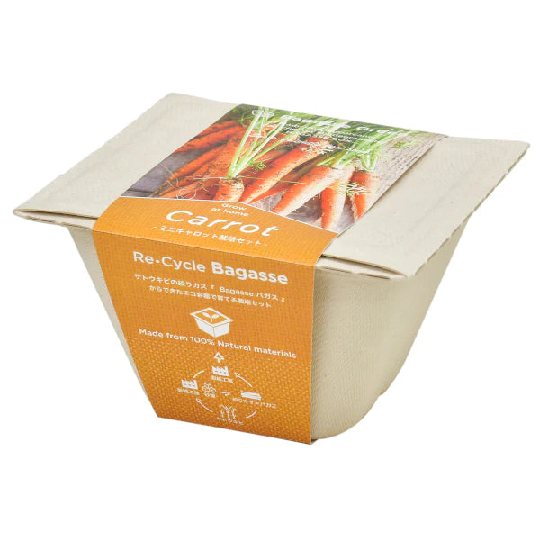 Bagasse Green - Mini Carrot - SpectrumStore SG
