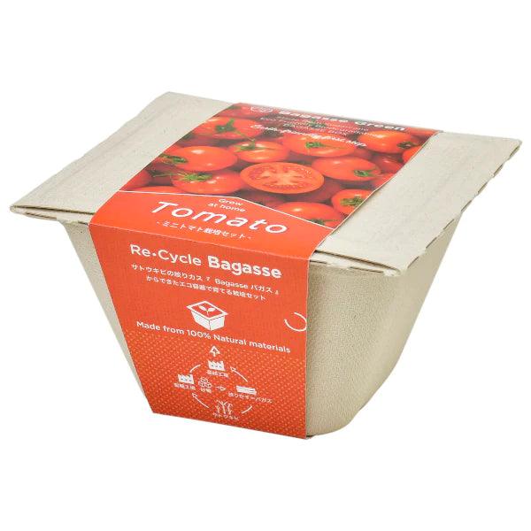 Bagasse Green - Mini Tomato - SpectrumStore SG