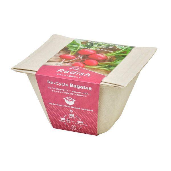 Bagasse Green - Radish - SpectrumStore SG