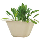 Bagasse Green - Spinach - SpectrumStore SG