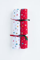 Christmas Crackers Celebration – Illustrated Icons