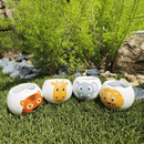 Grow Your Own Kits - Jungle Adventure