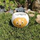 Grow Your Own Kits - Jungle Adventure