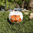 Grow Your Own Kits - Jungle Adventure