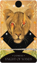 The Symbolic Tarot
