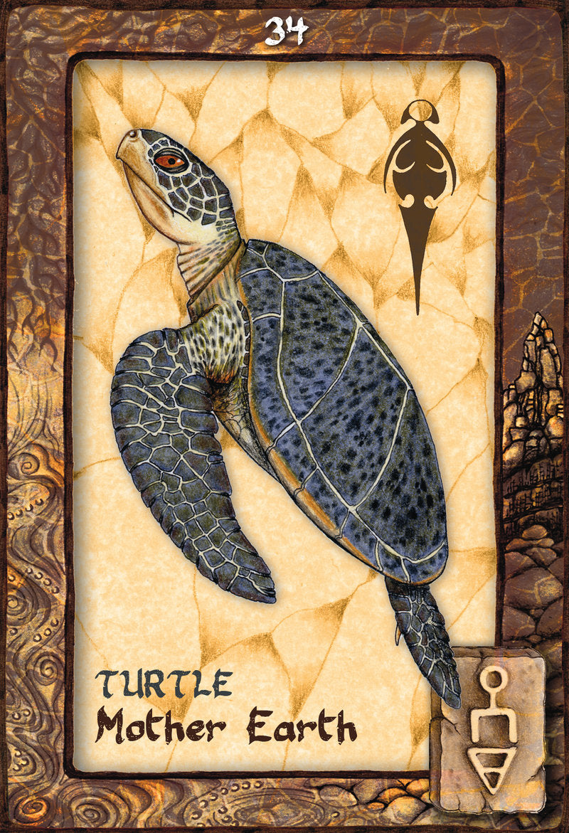 Animal Dreaming Oracle