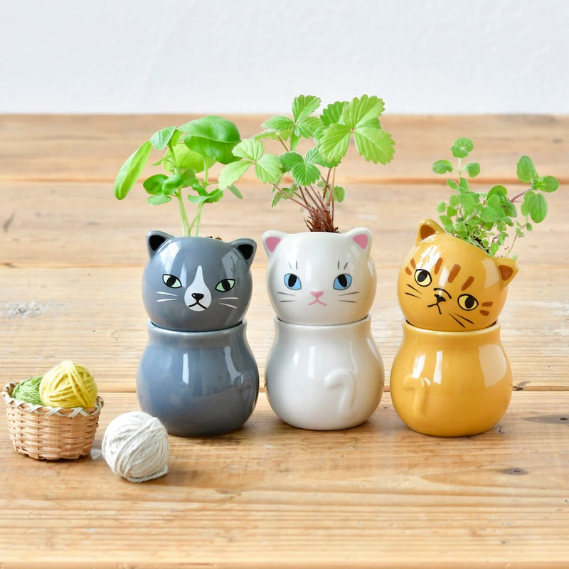 Corocoro Cat Growing Kit - Wild Strawberry