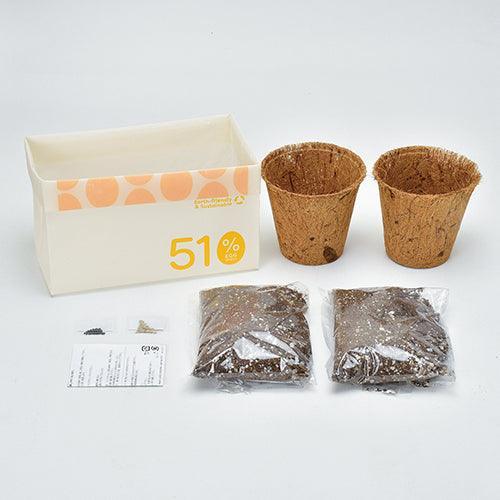 ECO Egg Shell 50% - Growing Kit - Tomato & Basil - SpectrumStore SG