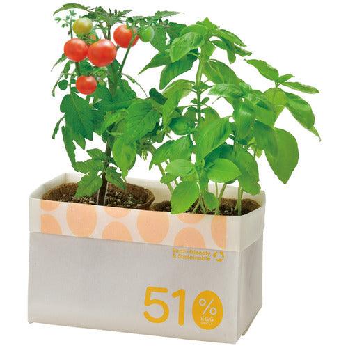 ECO Egg Shell 50% - Growing Kit - Tomato & Basil - SpectrumStore SG