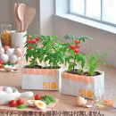 ECO Egg Shell 50% - Growing Kit - Tomato & Basil - SpectrumStore SG