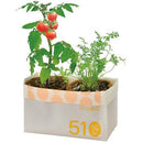 ECO Egg Shell 50% - Growing Kit - Tomato & Carrot - SpectrumStore SG